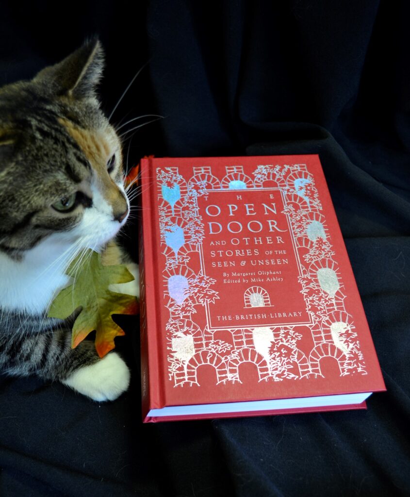 A calico tabby sits beside a leaf and a bright red book on a dark background.