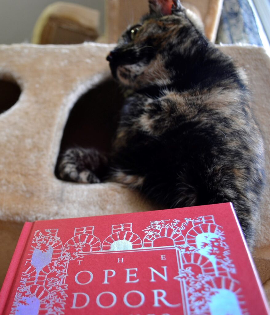 A tortoiseshell cat looks out of a door above The Open Door.