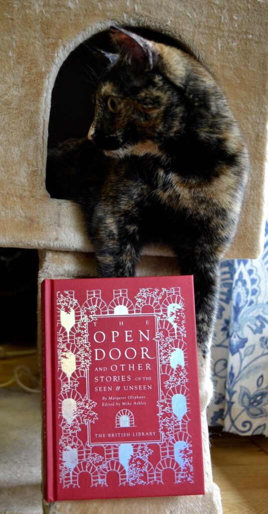 A tortoiseshell cat holds a bright red book with silver details.