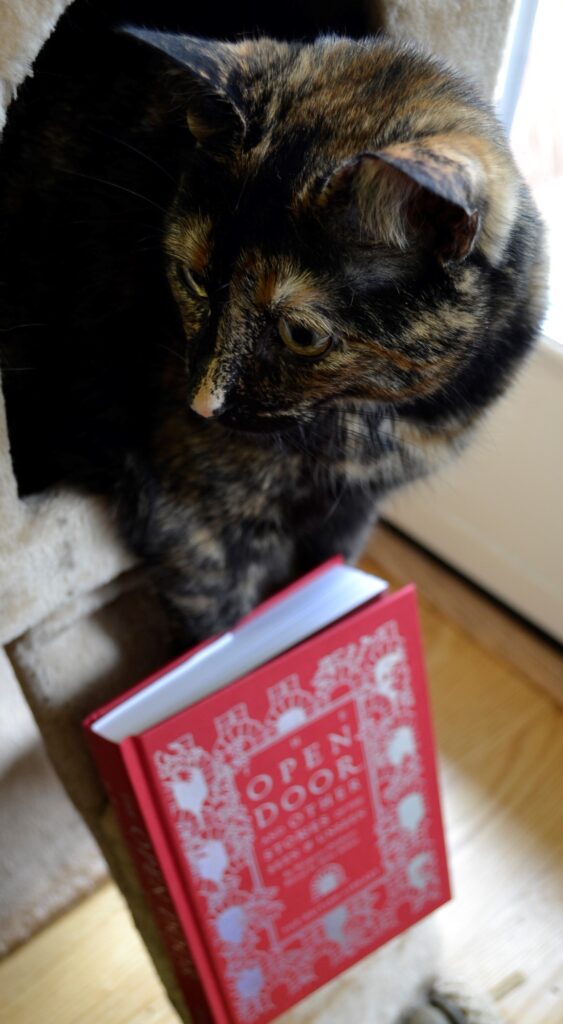 A tortoiseshell cat sticks its head out of a doorway above a bright red book.