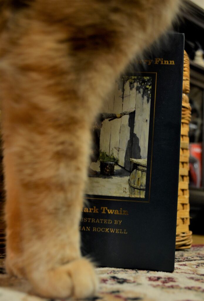 An orange tabby stands in front of an illustrated slipcase.
