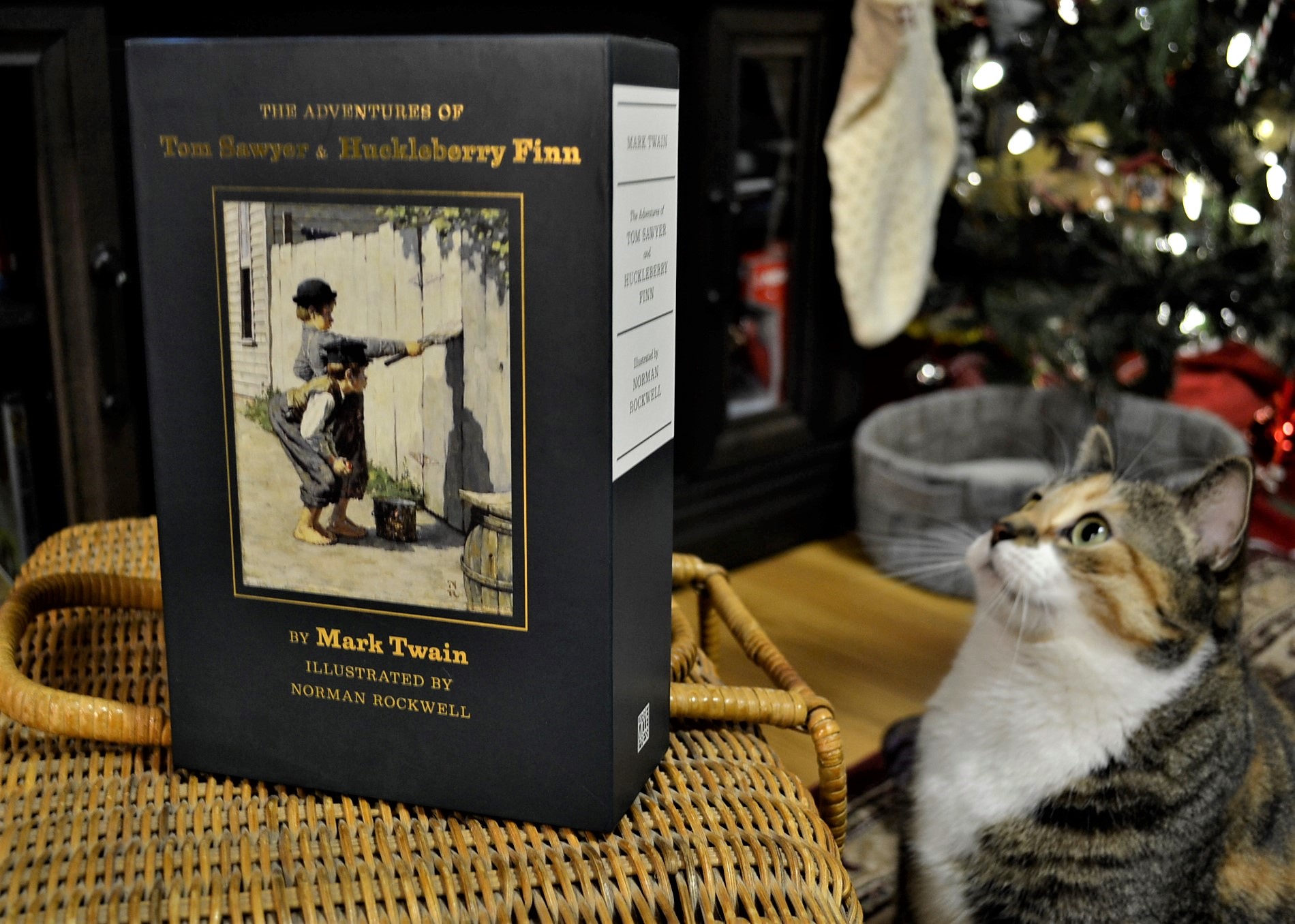 A calico tabby looks up at a slipcase illustrated by Norman Rockwell.