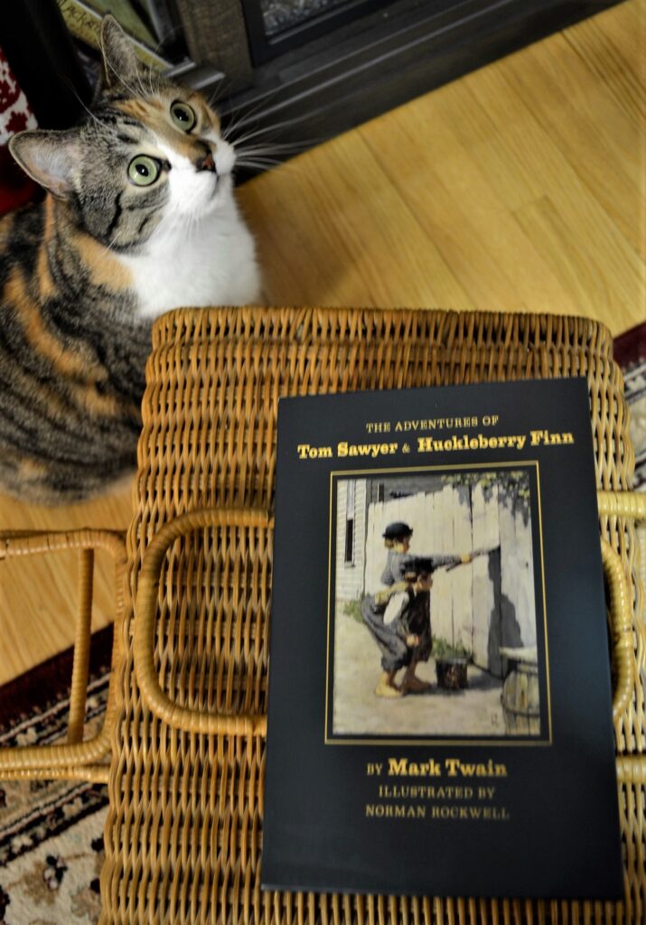 A calico tabby sits beside a slipcase edition of Tom Sawyer and Huck Finn.