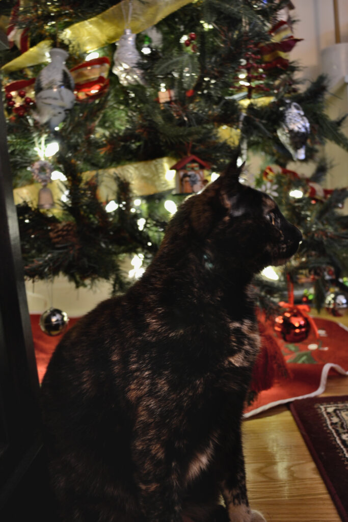 A tortoiseshell cat poses in profile in front of a Christmas tree.