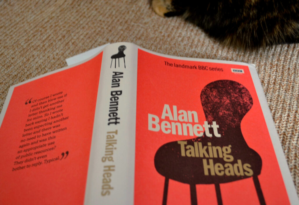 A bit of black fur sits beside the bright orange cover that features a silhouette of a chair.