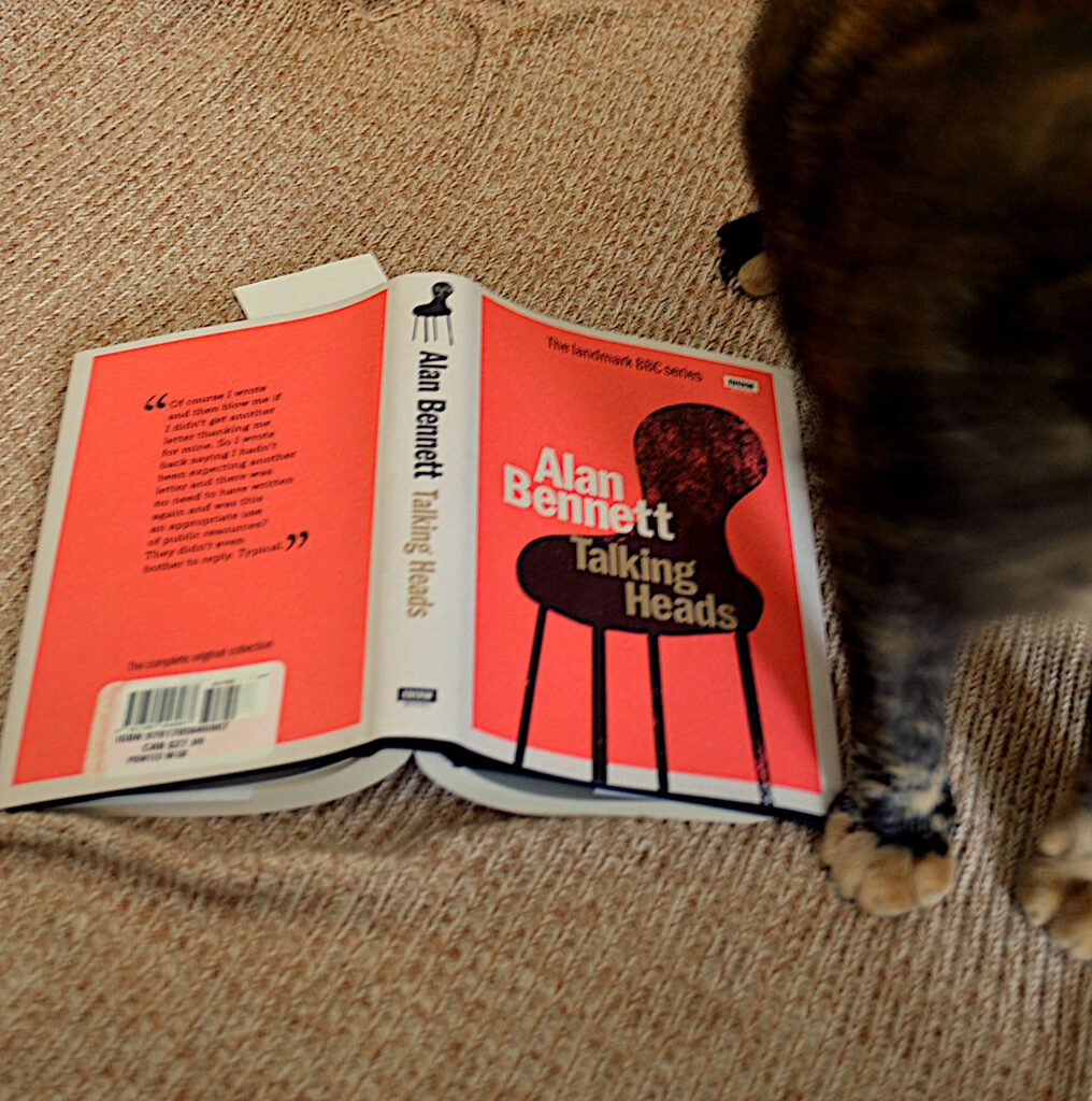A tortoiseshell cat sits beside the bright orange cover of Talking Heads.