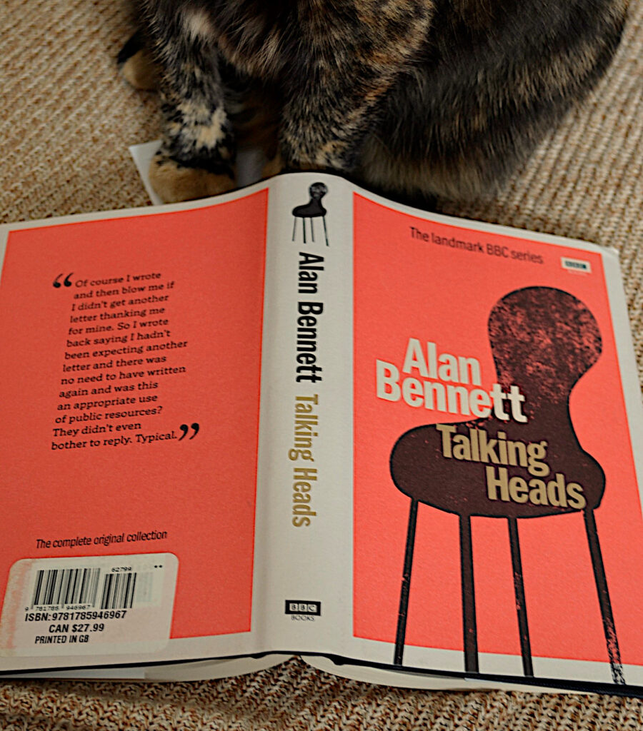 A tortoiseshell cat sits beside the bright orange cover of Talking Heads.