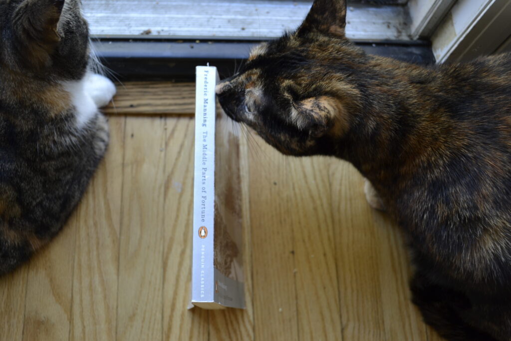 A tortoiseshell cat sniffs the silver spine of The Middle Parts of Fortune.