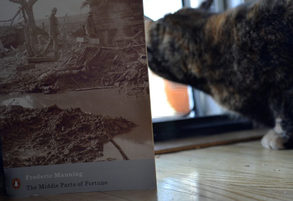 A close-up of a cover of World War I trenches is in front of a tortoiseshell cat.