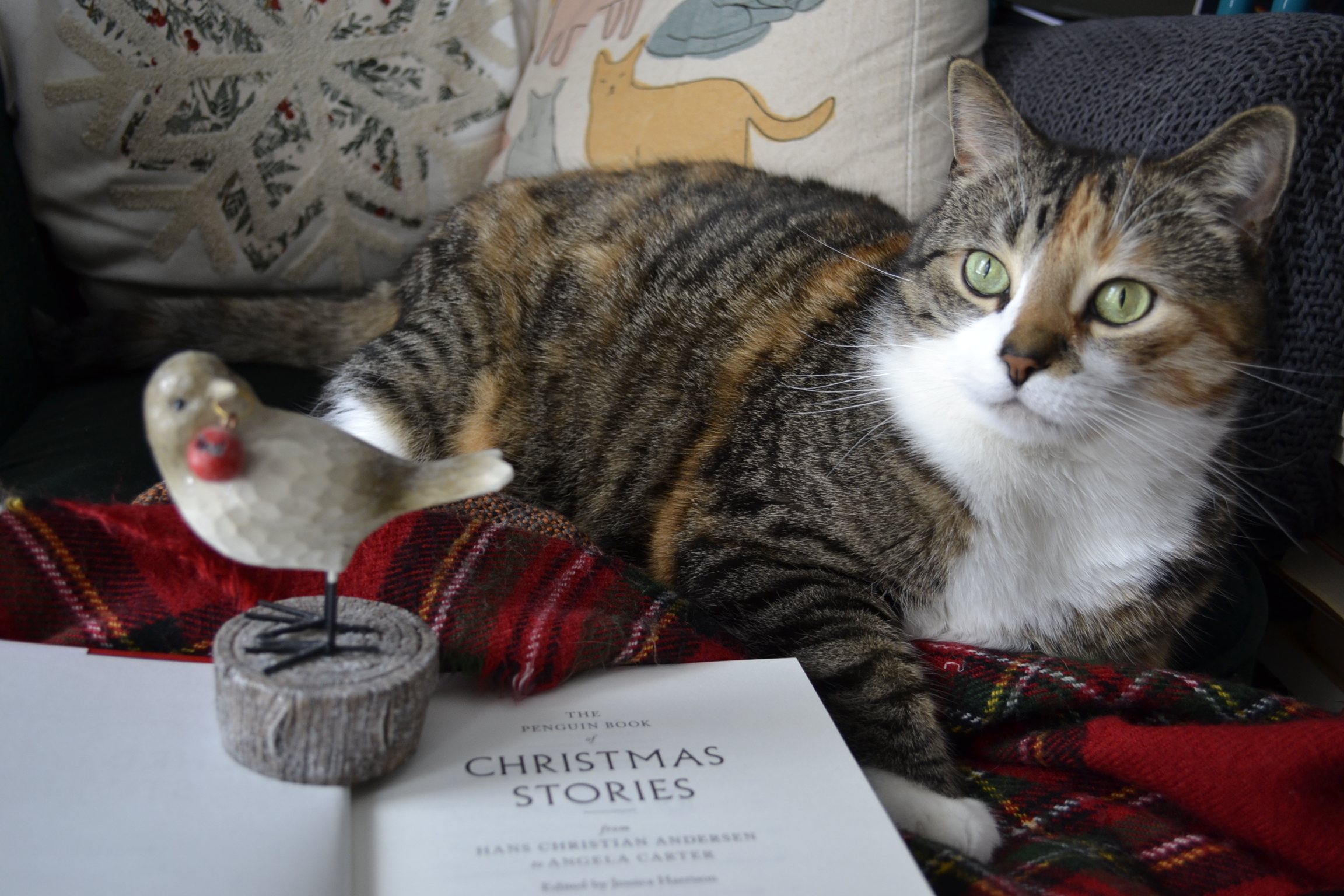 A calico tabby and a bird statue sit on pages that read The Penguin Book of Christmas Stories.