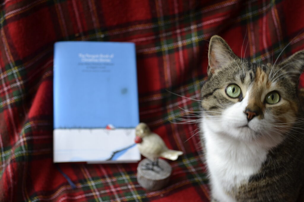 A calico tabby looks past the camera. A blue book is behind her.