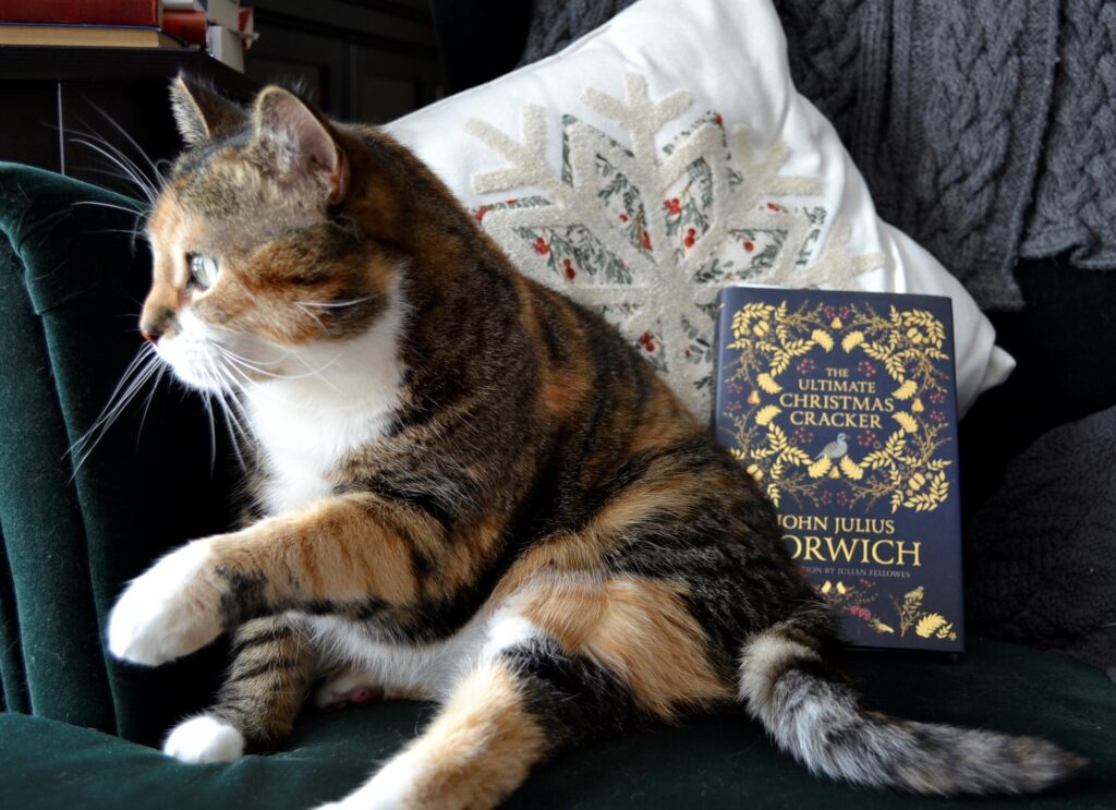 A dark blue book called The Ultimate Christmas Cracker sits behind a calico tabby.