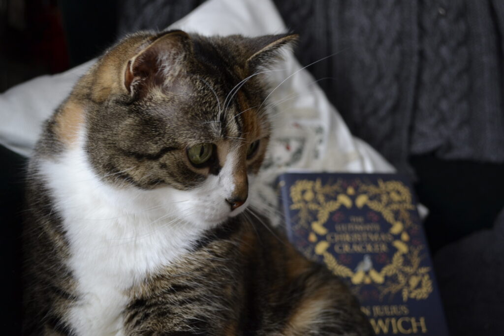 A calico tabby sits beside a navy blue book with gold Christmas-themed filigree.