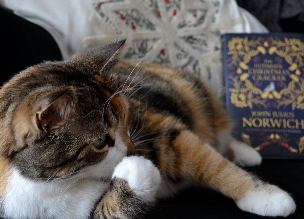 A calico tabby licks her paw in front of a blue and gold book.