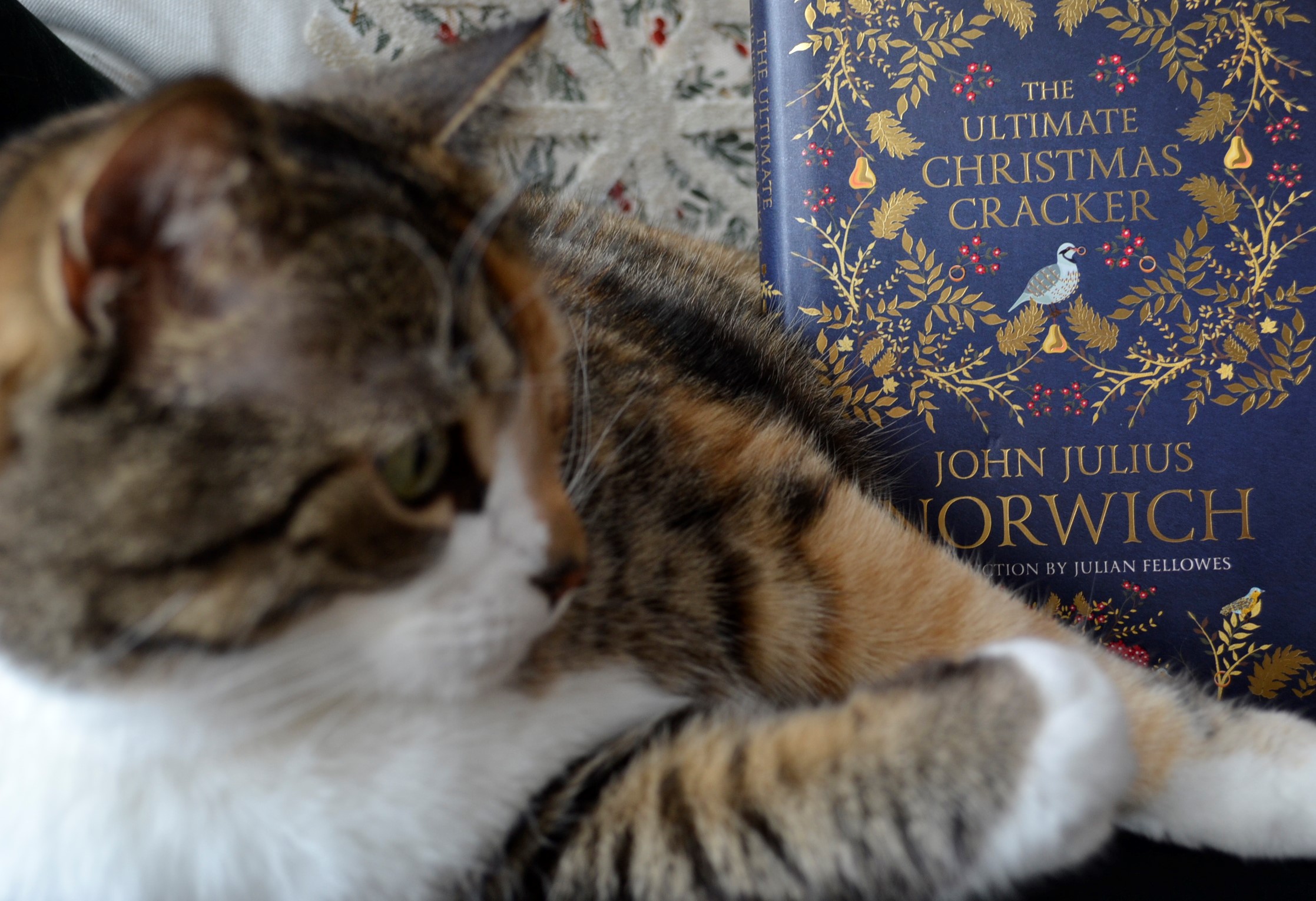 A blue book titled The Ultimate Christmas Cracker stands beside a tabby cat.