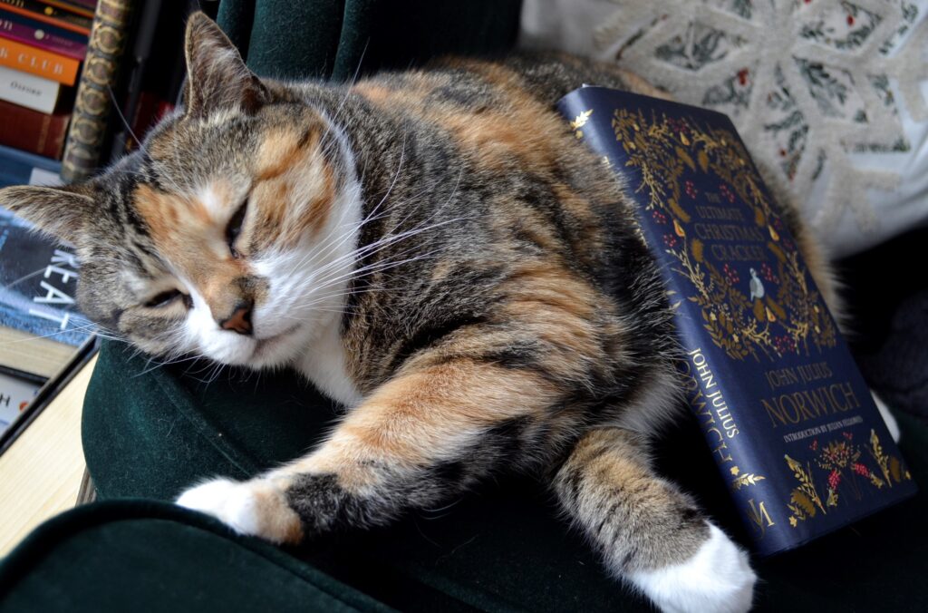 A calico tabby sleeps beside a dark blue book with gold filigree.