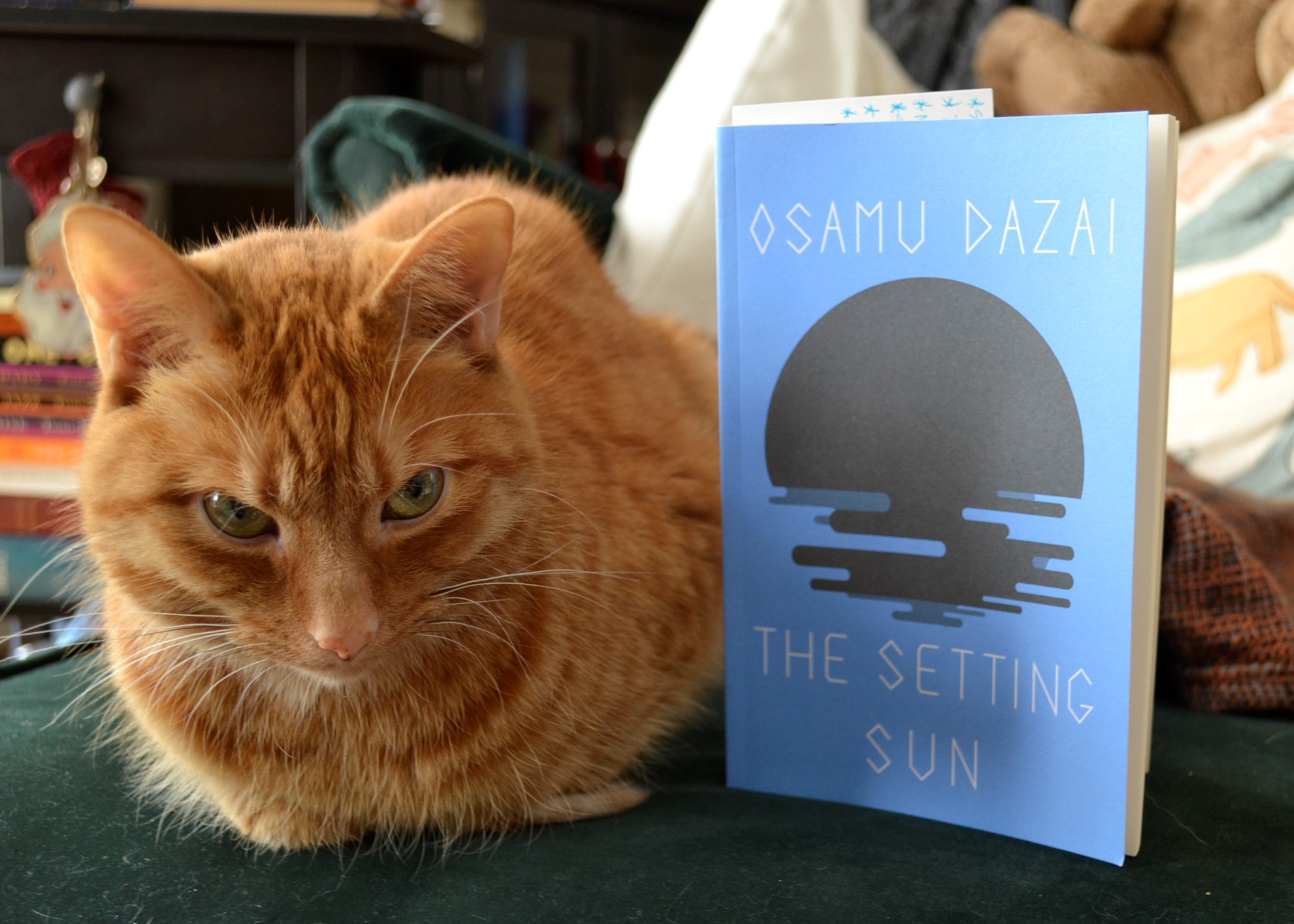 An orange cat looks at a blue book called The Setting Sun.