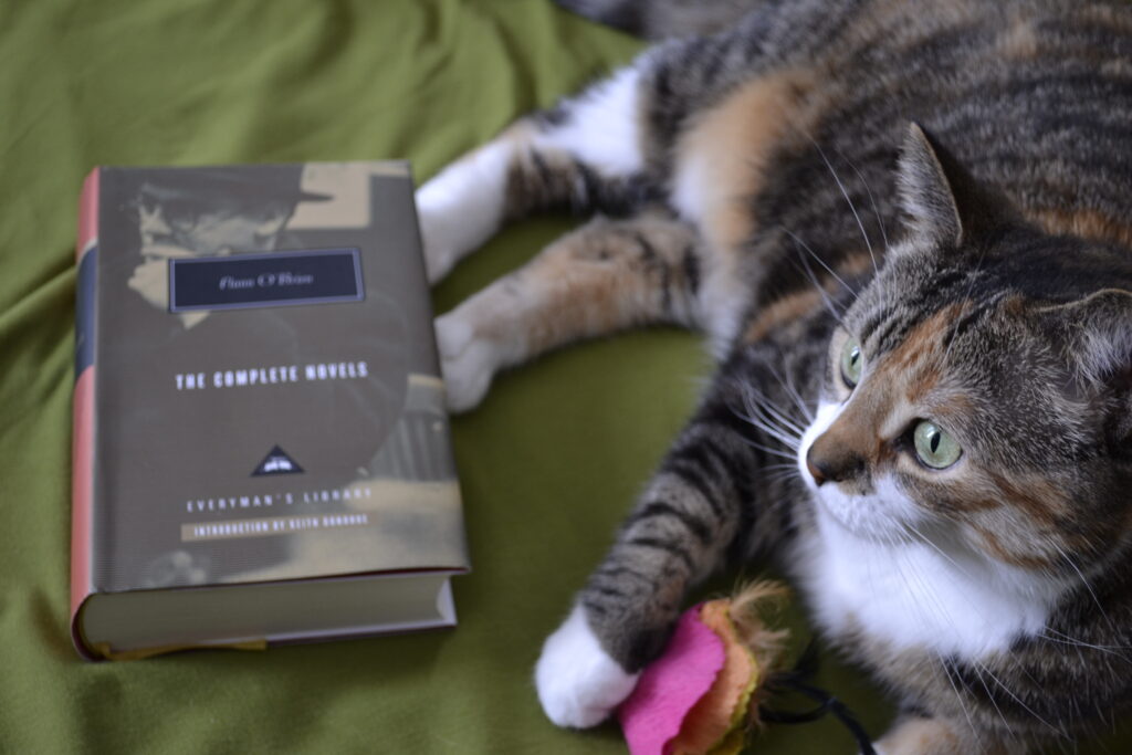 A calico tabby holds a felt flower beside The Complete Novels of Flann O'Brien.