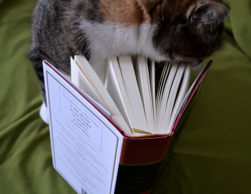 A calico tabby rubs the pages of an open book.