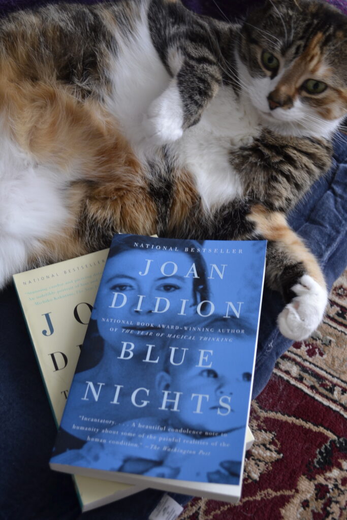 The cover of Blue Nights shows Joan Didion and her infant child. A chubby cat lies beside it.