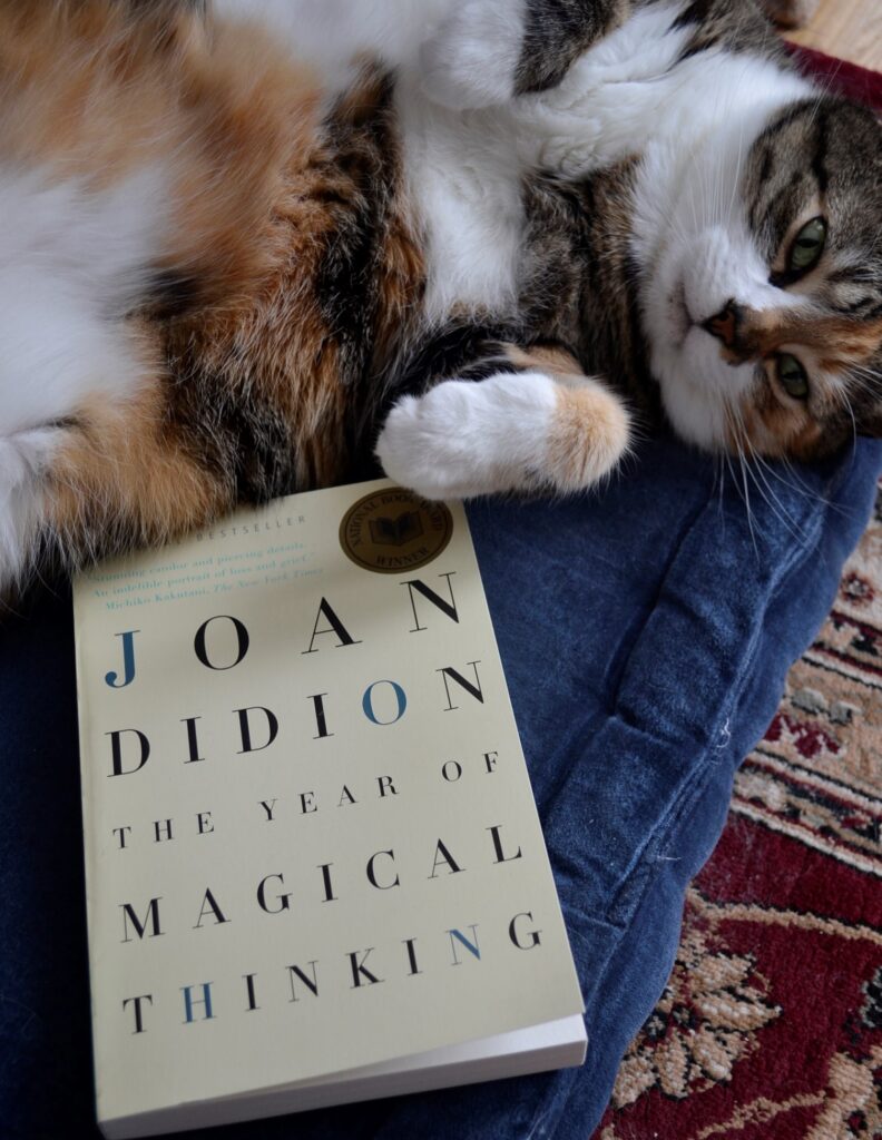 A belly up calico tabby lies beside Joan Didion's The Year of Magical Thinking.
