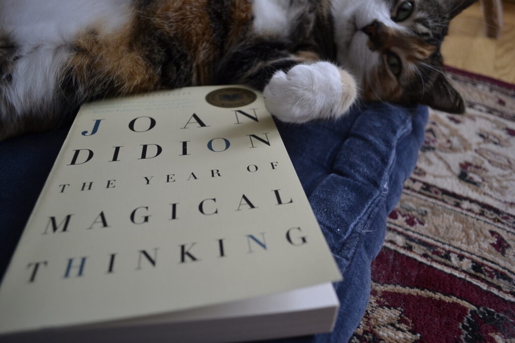 The simple cover of a book read 'Joan Didion The Year of Magical Thinking'. A white paw holds it.