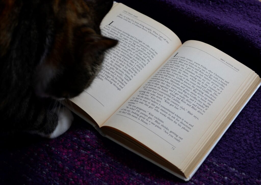A calico tabby paws at a book with short scenes in it.