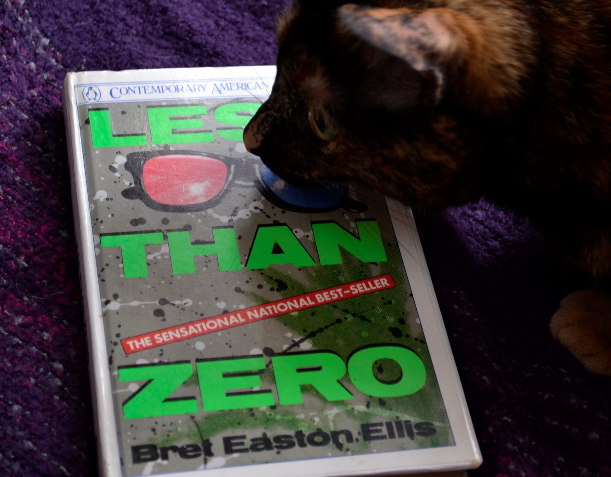 A tortoiseshell cat sniffs the bright cover of Less Than Zero.