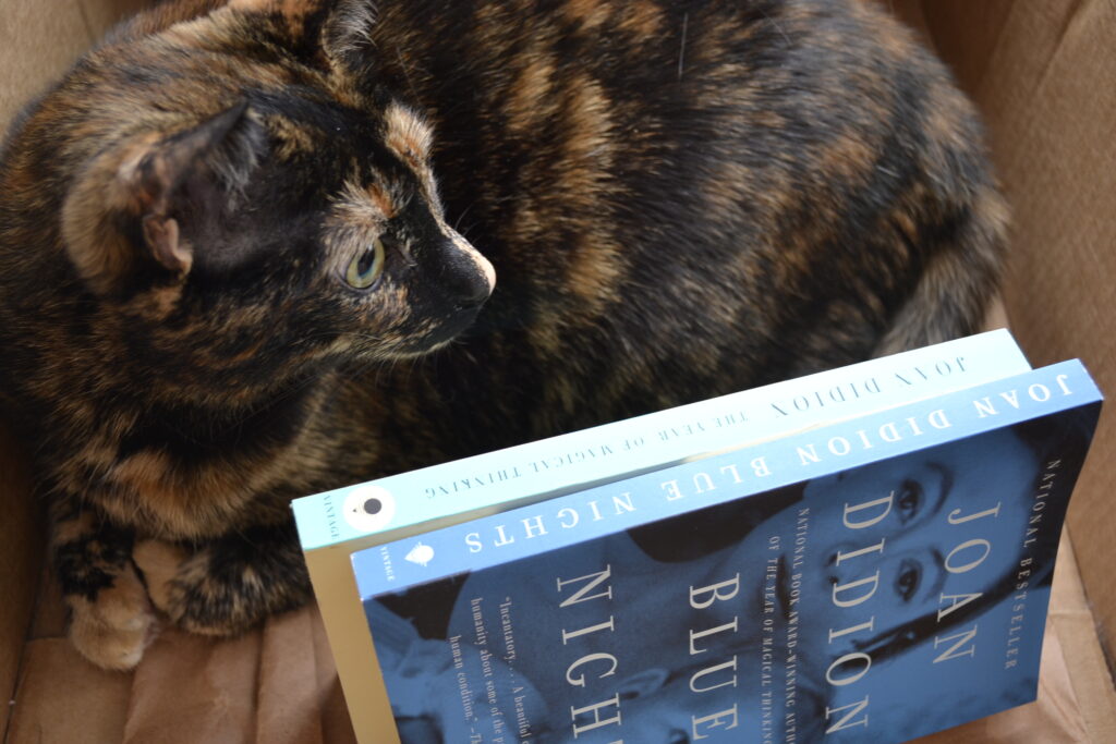 A tortoiseshell cat curls beside two books, Blue Nights and The Year of Magical Thinking.