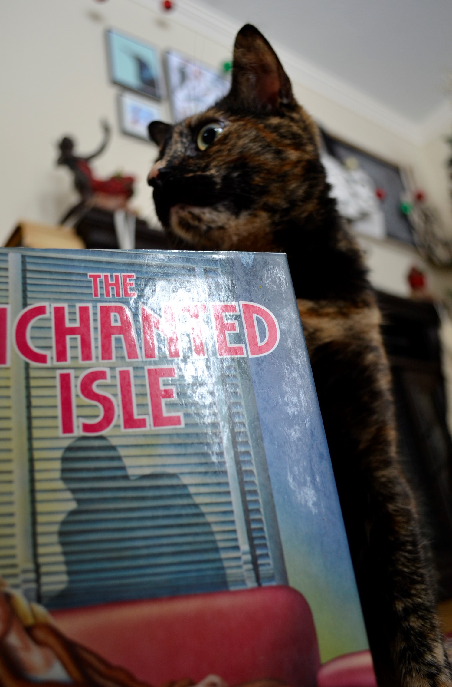 A tortoiseshell cat looms of a cover reading 'The Enchanted Isle'.