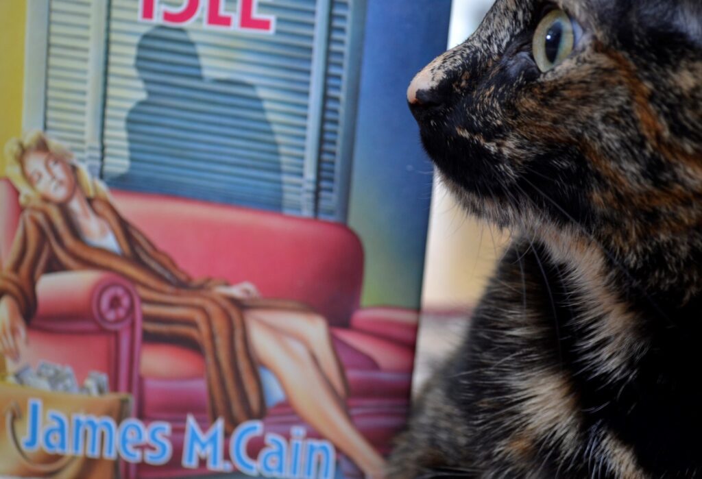 A tortoiseshell cat looks at a cover featuring a fainting young woman and a lurking human shadow.