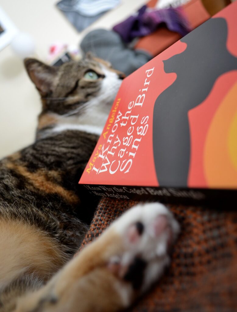 Pink and black toe beans are visible beside a red book.