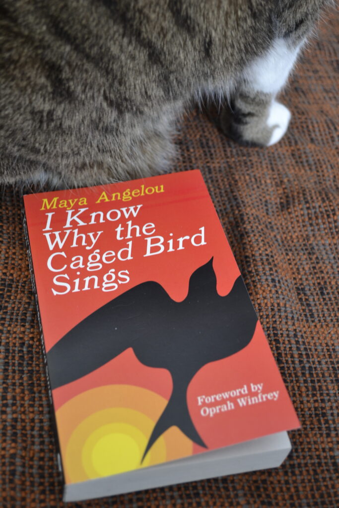A white paw is visible beside a red book with a black silhouette of a bird in flight.