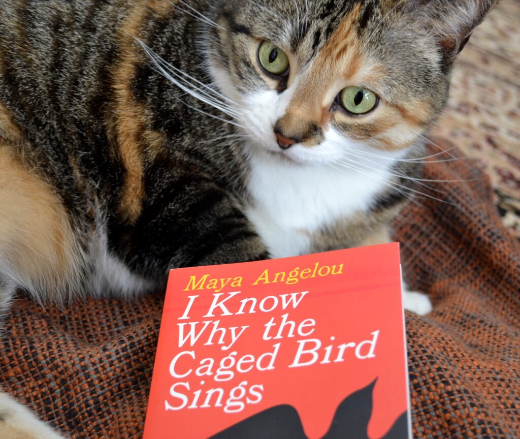 A calico tabby sits beside a red book, titled I Know Why the Caged Bird Sings.