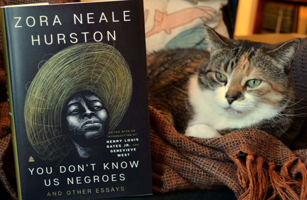 A black book titled 'You Don't Know Us Negroes' stands beside a calico tabby.
