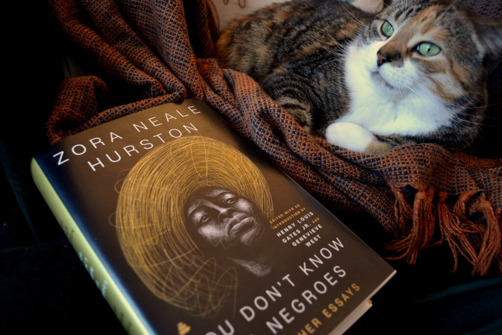 A calico tabby looks past a black book. On the cover of the book, a woman looks out into the distance.