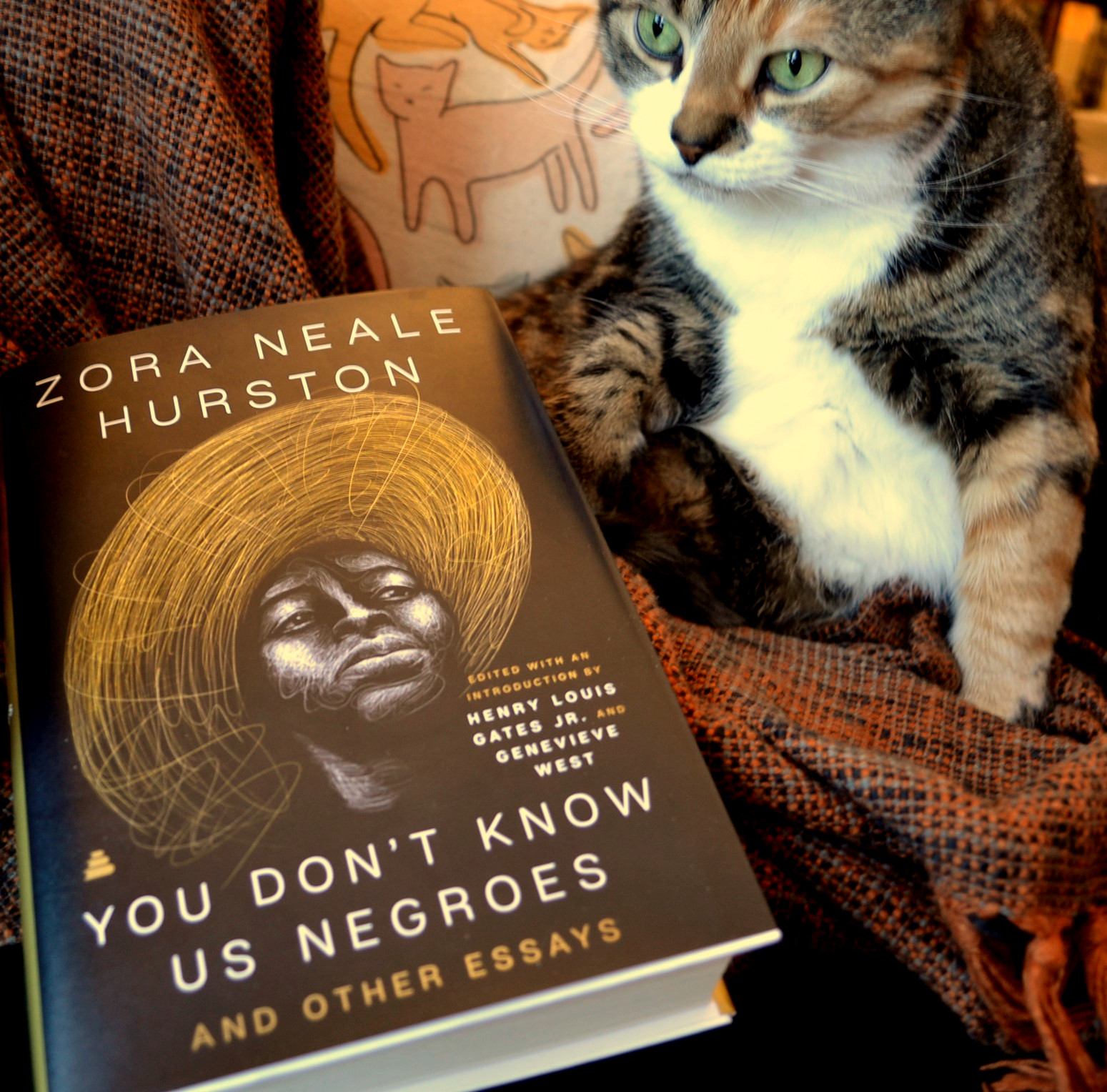 A cat sits beside a book titled 'You Don't Know Us Negroes'. The book's author is Zora Neale Hurston.