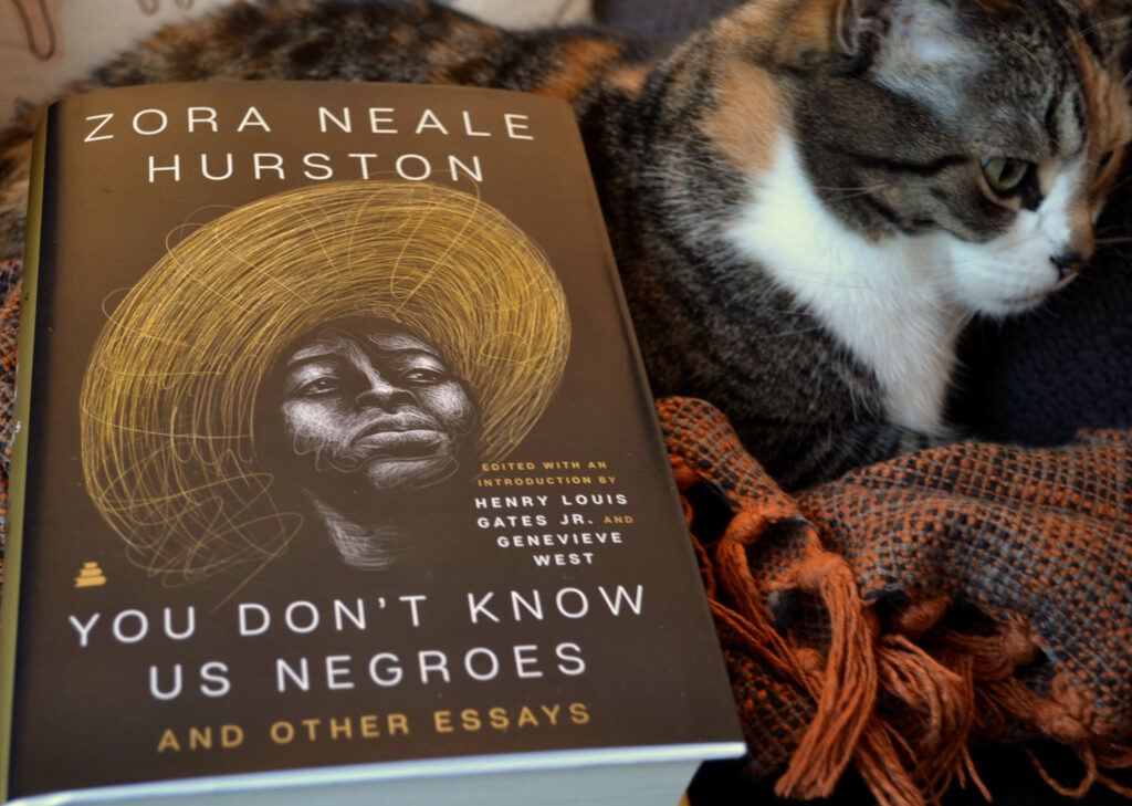 A cat sits beside a black book titled 'You Don't Know Us Negroes and Other Essays'.