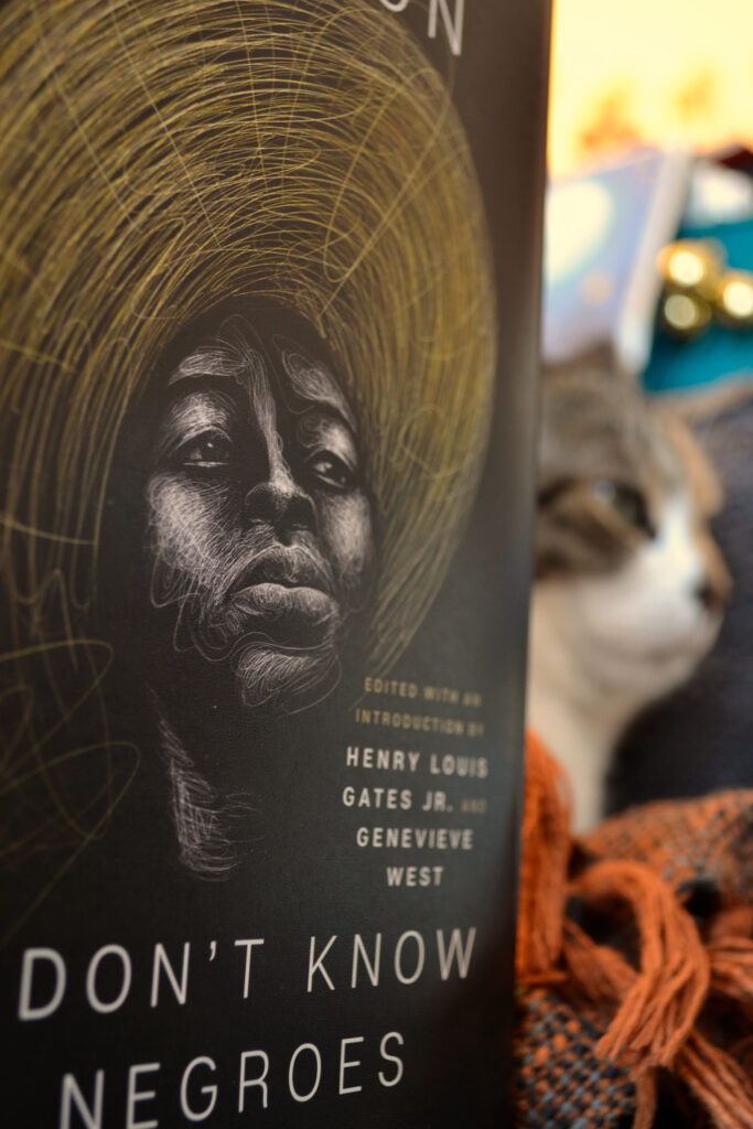 A book features a shaded image of a woman in a large hat looking up and past the viewer. A cat sits in the background.