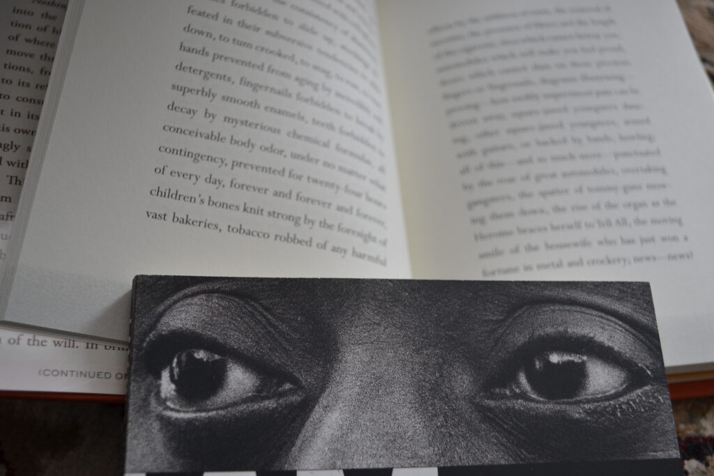 A pair of eyes stare out from a book cover, resting on an open page.