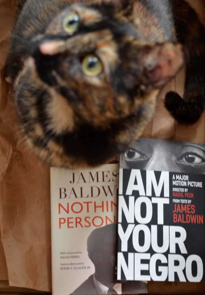 A tortoiseshell cat sits beside two black-and-white books with red text.