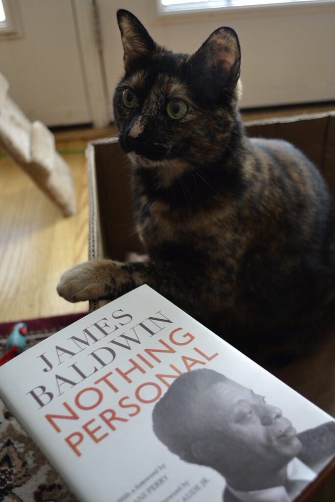 A cross-eyed tortoiseshell cat paws a book titled 'Nothing Personal'.