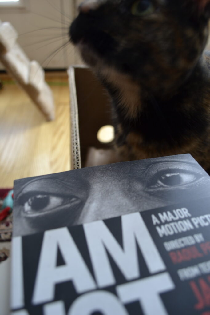 A pair of eyes stare out from the cover of a book, beside a tortoiseshell cat.
