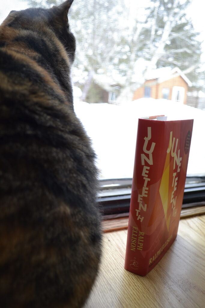 Calico tabby sits beside a book with the spine forward. The spine reads 'Juneteenth' in jumbled letters.