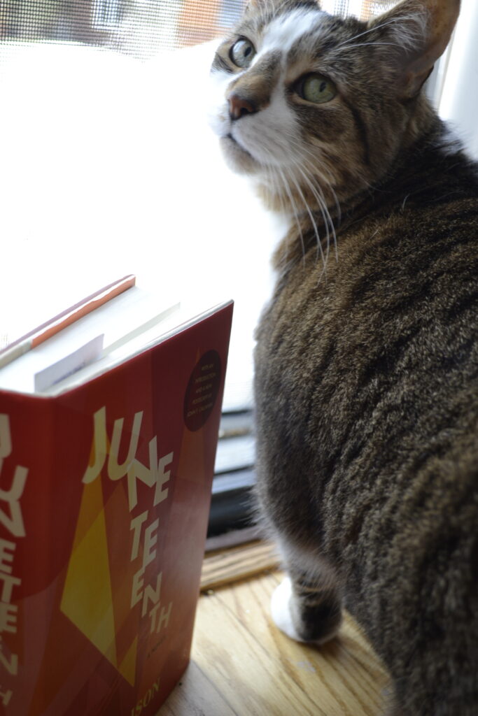 A tabby cat with a brown nose looks back at the camera over 'Juneteenth'.