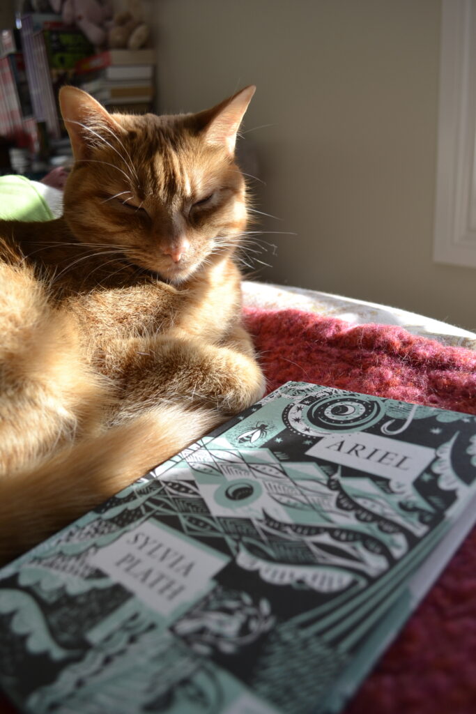 An orange tabby sits beside Ariel by Sylvia Plath. There are images of trees and water and bugs on the cover.