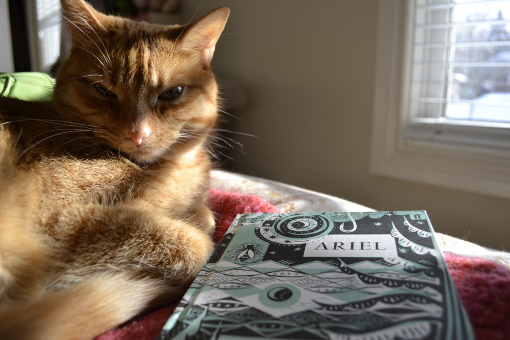 An orange tabby sits beside Ariel by Sylvia Plath. An image of a bug can be seen in corner of the book.