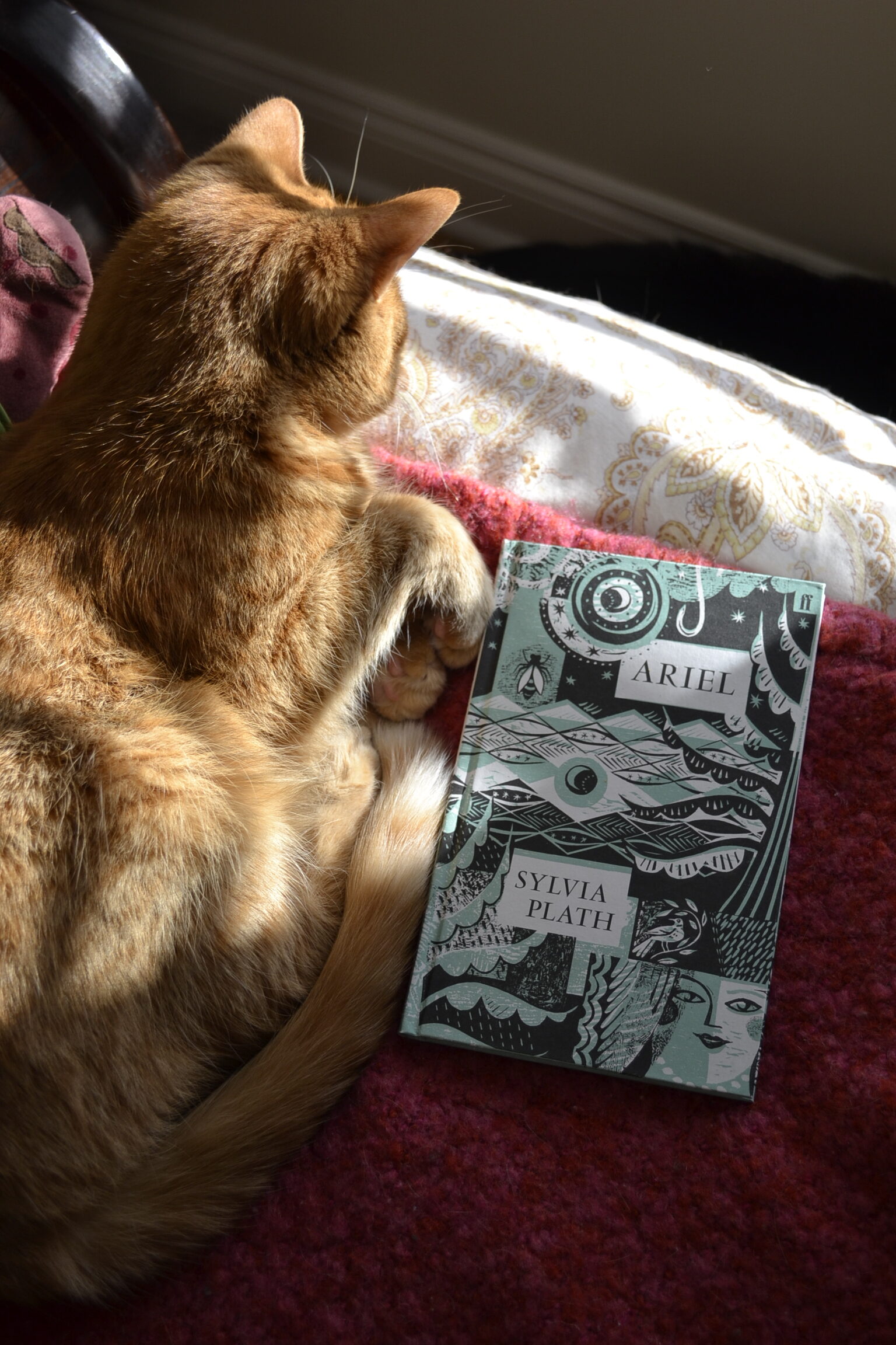 An orange tabby sits beside Ariel by Sylvia Plath. There are images of trees and water and bugs on the cover.