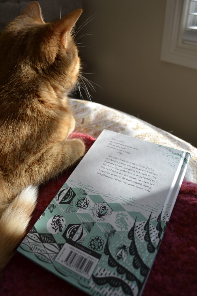 An orange tabby sits beside a book patterned with bugs and leaves.