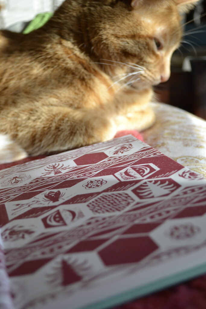 A orange tabby sits beside the red graphic interior of a book.